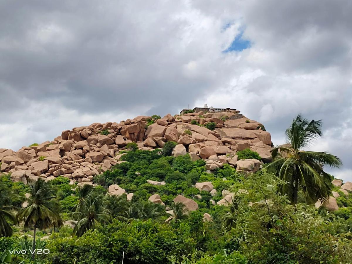 Srinivasa Homestay Hampi Exterior photo